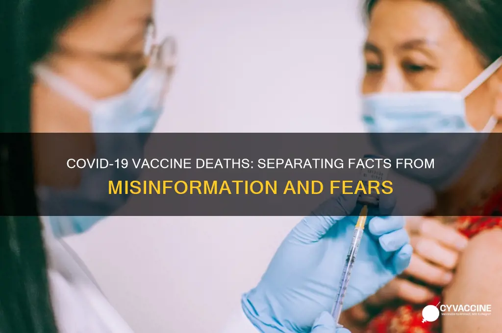 has anybody died from corona vaccine