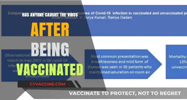 Vaccinated and Still Vulnerable? Exploring Post-Vaccination COVID-19 Infections