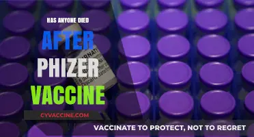 Pfizer Vaccine Deaths: Separating Facts from Misinformation and Fears