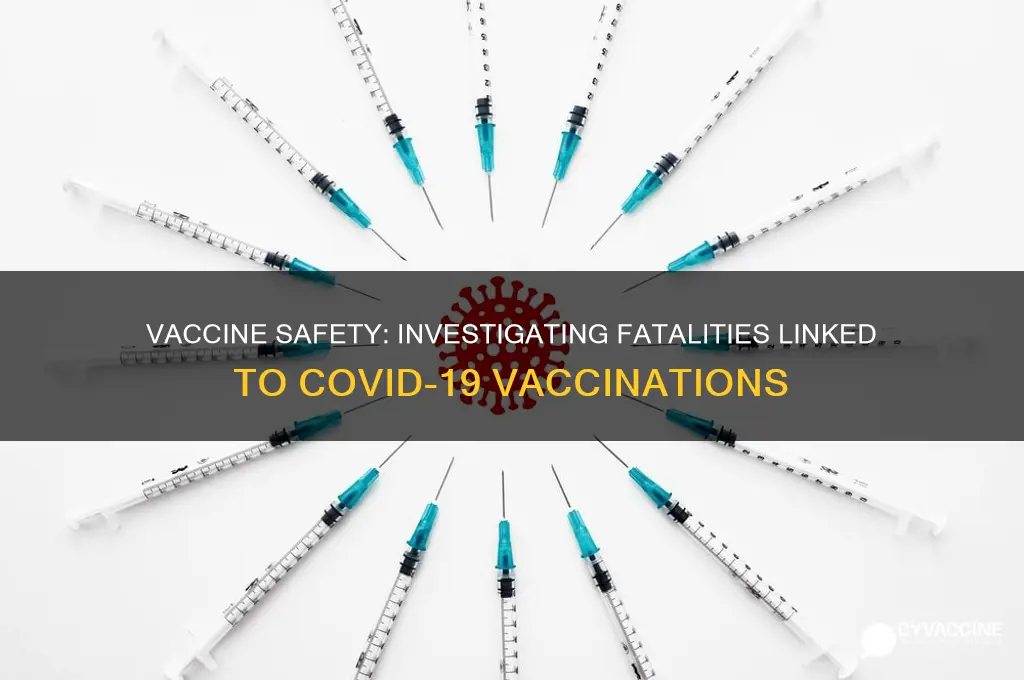 has anyone died as a result of the vaccine