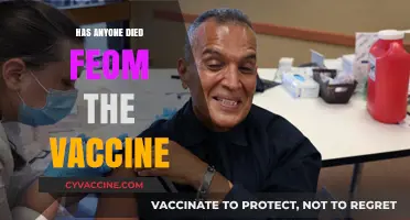 Vaccine Safety: Investigating Claims of Fatalities Post-Vaccination