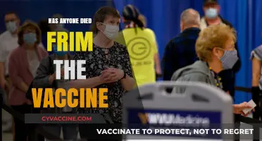 Vaccine Safety: Investigating Rare Deaths Linked to COVID-19 Shots