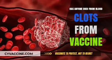 Vaccine-Related Blood Clots: Investigating Fatalities and Safety Concerns