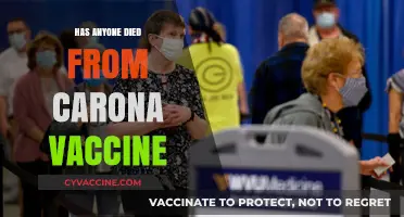 COVID-19 Vaccine Deaths: Separating Fact from Fiction and Misinformation