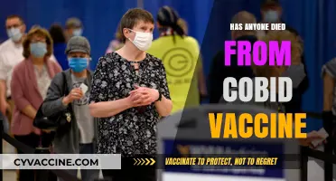 COVID-19 Vaccine Deaths: Separating Facts from Misinformation and Fears