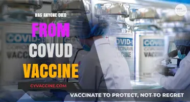 COVID-19 Vaccine Deaths: Separating Facts from Misinformation and Fears