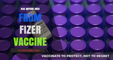 Pfizer Vaccine Deaths: Separating Fact from Fiction and Misinformation