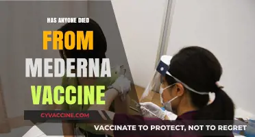 Has Anyone Died from the Moderna Vaccine? Facts and Insights