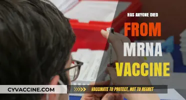Debunking Myths: Are mRNA Vaccines Linked to Fatalities?