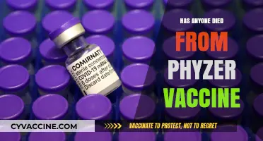 Pfizer Vaccine Deaths: Separating Facts from Misinformation and Myths