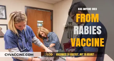 Rabies Vaccine Safety: Debunking Myths About Fatal Side Effects