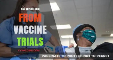 Vaccine Trial Fatalities: Separating Fact from Fiction in Safety Concerns