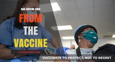 Vaccine-Related Deaths: Separating Facts from Misinformation and Fear