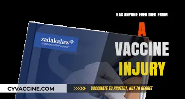 Vaccine Injury Fatalities: Separating Facts from Misinformation and Fears