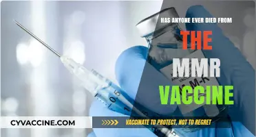 MMR Vaccine Safety: Debunking Myths About Fatal Side Effects