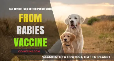 Rabies Vaccine and Pancreatitis: Unraveling the Rare Connection
