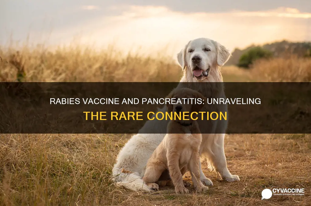 has anyone ever gotten pancreatitis from rabies vaccine