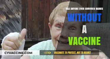 Surviving Rabies Without Vaccination: Rare Cases and Medical Mysteries