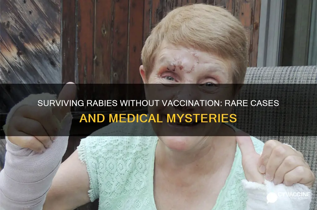 has anyone ever survived rabies without a vaccine