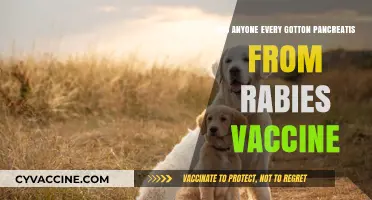 Rabies Vaccine and Pancreatitis: Unraveling the Rare Connection and Risks