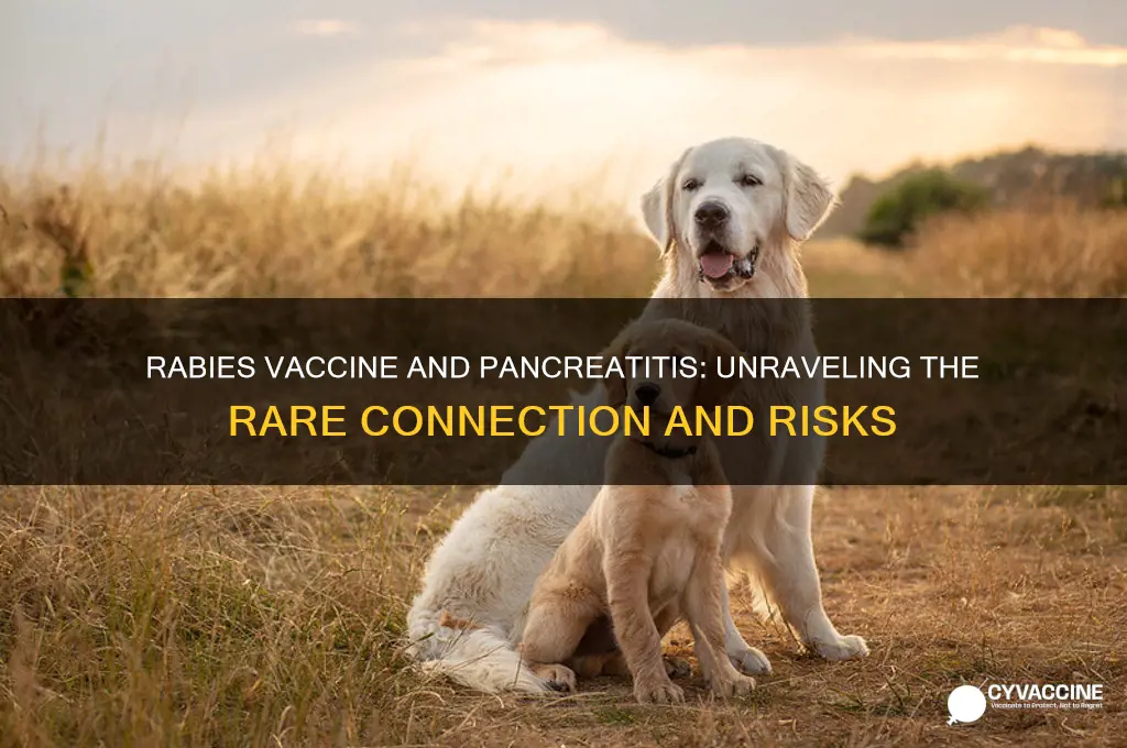 has anyone every gotton pancreatis from rabies vaccine