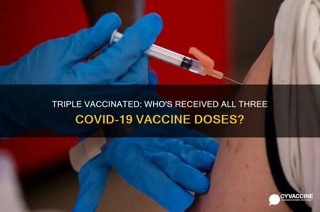 has anyone gotten all three vaccines