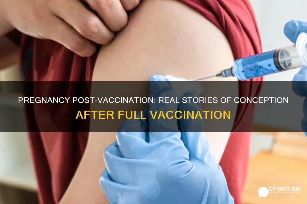 has anyone gotten pregnant after being fully vaccinated