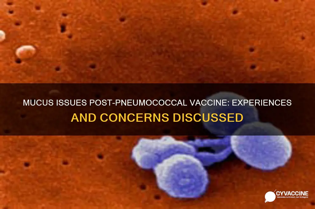 has anyone had problems with mucus after pneumococcal pneumonia vaccine