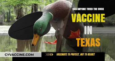Texas Duck Vaccine: Real Experiences and Outcomes Shared