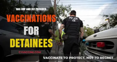CBP and ICE: Vaccination Efforts for Detainees Examined