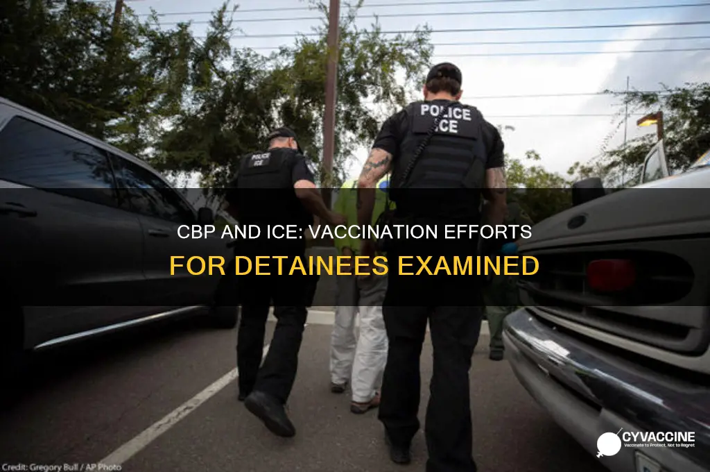 has cbp and ice provided vaccinations for detainees