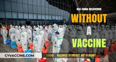 China's COVID-19 Recovery: Vaccine-Free Strategies and Economic Resilience