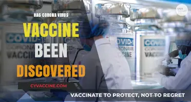 Latest Updates: Has a Coronavirus Vaccine Been Discovered Yet?