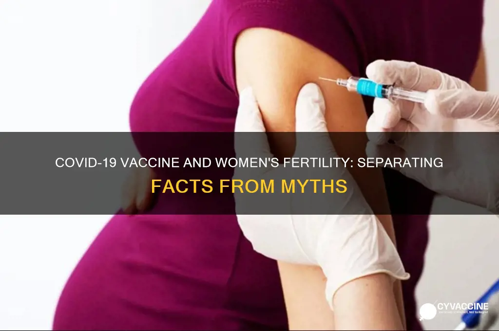 has fertility in women been impacted by th covid19 vaccine