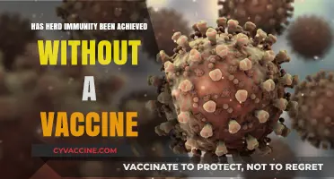 Herd Immunity Without Vaccines: Myth or Achievable Reality?