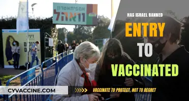 Israel's Entry Policy: Vaccinated Travelers Face New Restrictions Explained