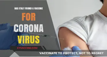 Italy's Breakthrough: Potential COVID-19 Vaccine Discovered Amid Global Pandemic