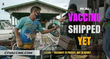 J&J Vaccine Shipments: Latest Updates on Distribution and Availability