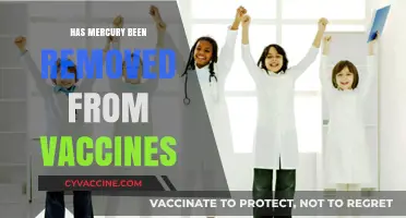 Mercury in Vaccines: Debunking Myths and Current Practices