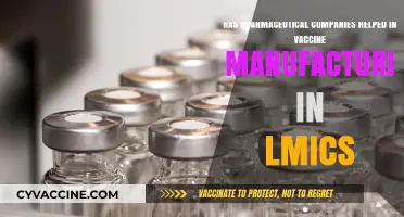 Pharmaceutical Companies' Role in Vaccine Manufacturing for LMICs