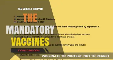 Are Mandatory Vaccines Still Required in Schools? What Parents Need to Know