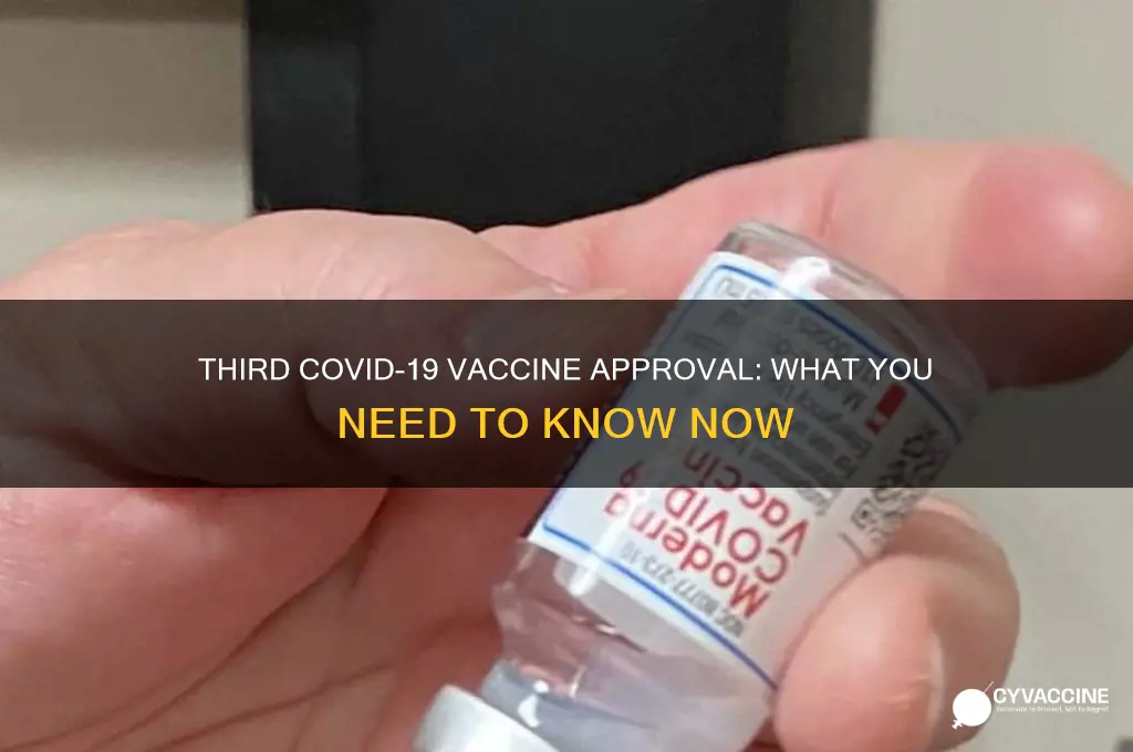 has the 3rd vaccine been approved