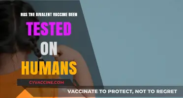 Bivalent Vaccine Human Trials: Safety, Efficacy, and What We Know