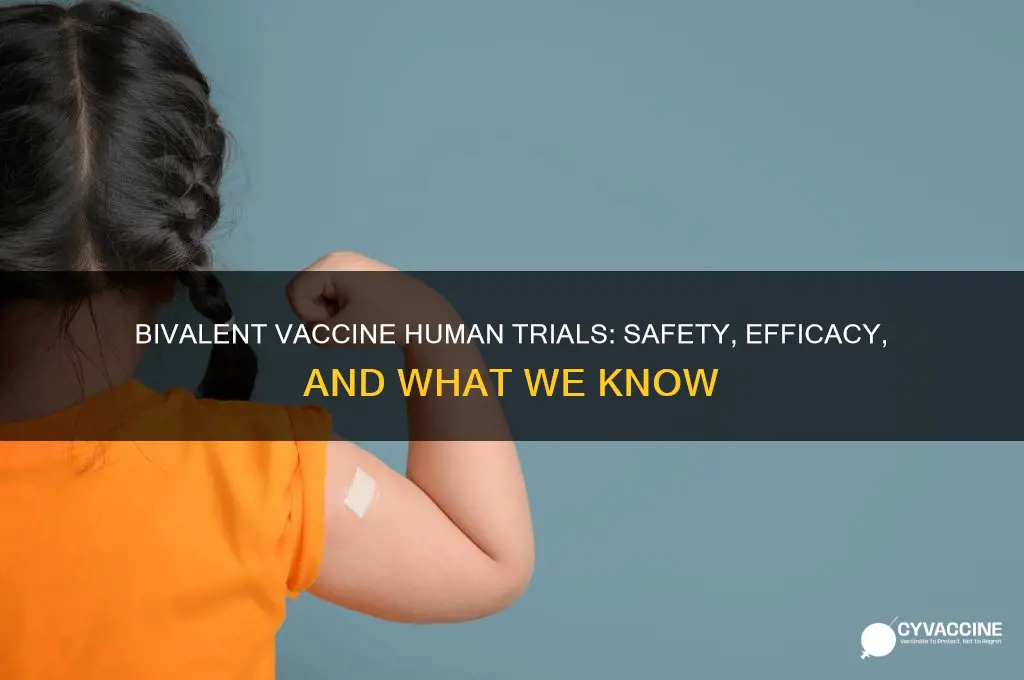 has the bivalent vaccine been tested on humans