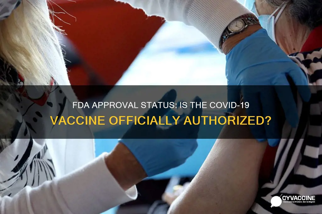 has the corona vaccine been approved by the fda