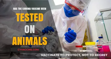 Animal Testing in COVID-19 Vaccines: Ethical Concerns and Scientific Necessity