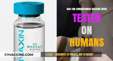 Has the Coronavirus Vaccine Undergone Human Trials? Facts Revealed