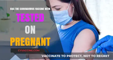 Pregnancy and COVID-19 Vaccines: Safety, Testing, and What We Know