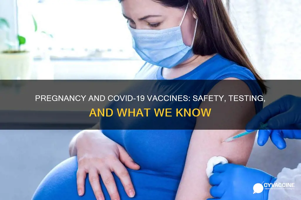 has the coronavirus vaccine been tested on pregnant