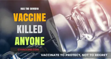 COVID-19 Vaccine Safety: Investigating Claims of Fatal Side Effects
